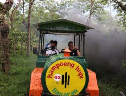Asiknya Jelajah Kebun Kopi di Perkebunan Kopi Banaran