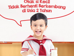 Perkembangan Otak Anak Tidak Berhenti di Usia 2 Tahun,  Pastikan Perkembangannya Optimal memasuki usia Prasekolah!