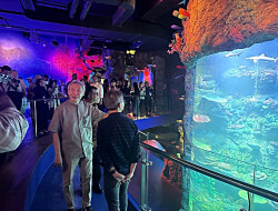 Inovasi Baru, Bintaro Jaya Xchange Mall 2 Dilengkapi Wahana Oceanarium BXSea