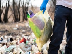 Empat Mahasiswa Calon Doktoral IPB University Merilis Analisis dan Tren Terkait Sociopreneurship dalam Pengelolaan Sampah