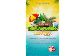 Tropical Paradise Akhir Tahun di Swiss-Belresidences Kalibata