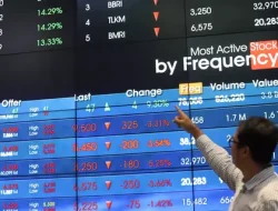 Saatnya Diversifikasi Portofolio Saat CSA Index Mengalami Penurunan