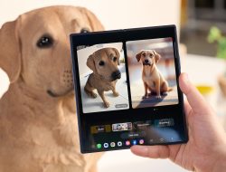 Samsung One UI Beta Hadir ke Lebih Banyak Perangkat Galaxy