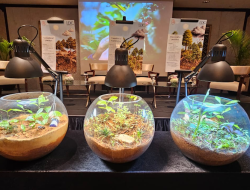 Pertanian Regeneratif dan Budidaya Kopi di Indonesia