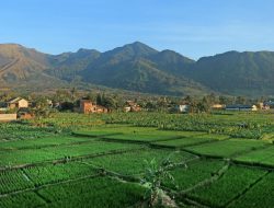    Agoda: Puncak dan Surakarta Catat Peningkatan Minat Wisatawan Jelang Libur Panjang Hari Buruh 2026